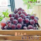 【2025年発送】【大人気】農園直送!濃厚巨峰　約2kg