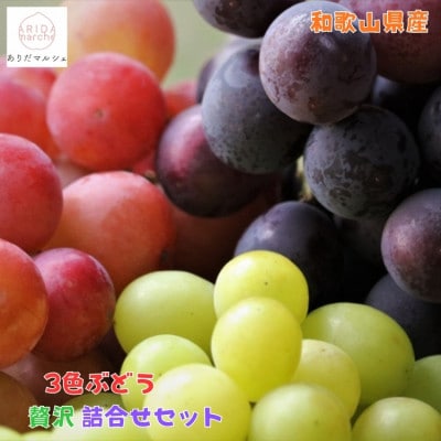 【先行受付・2026年発送】農園直送 3色ぶどう詰め合わせ贅沢セット 約3kg入り