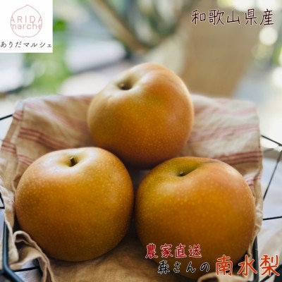 《2025年発送》有田の樹上成熟梨 南水梨 約2kg