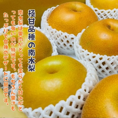 《2026年先行受付》有田の樹上成熟梨 南水梨 約2kg