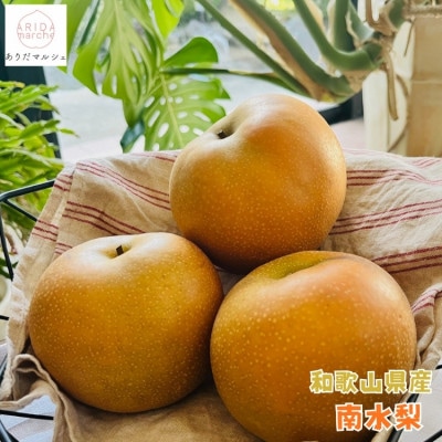 《2026年先行受付》有田の樹上成熟梨 農家直送 南水梨 約4.5kg