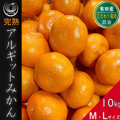 完熟 アルギット みかん 10kg M ～ L サイズ