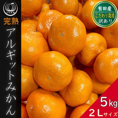 完熟 アルギット みかん 5kg 大玉(2L)サイズ【訳あり】