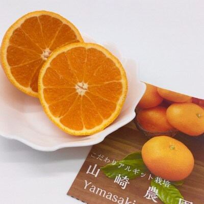 アルギット 不知火 約1.5kg 中玉 サイズ(7～8玉)