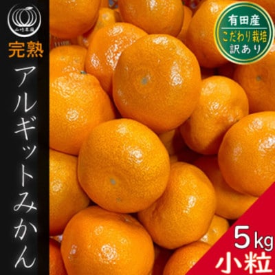 完熟 小粒 アルギット みかん 5kg 2S ～ 3S サイズ