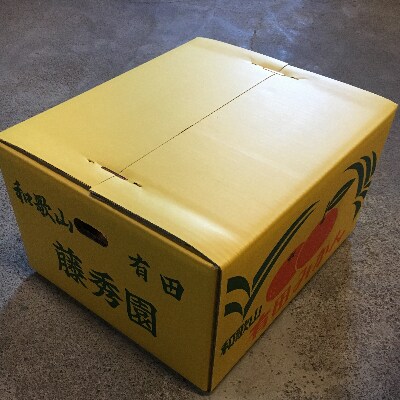 こだわりの有田みかん青秀 10kg