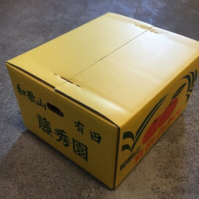 有田みかん ご家庭用 10kg