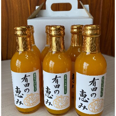 【みかんジュース】有田の恵み200ml×6本