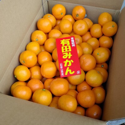 農家直送 和歌山県産有田みかん5kg 混サイズ 2023年まるたま農園自信作