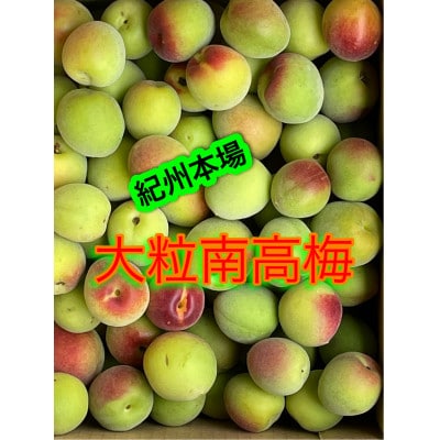 南高青梅　箱込み5キロ(内容量4.7キロ)