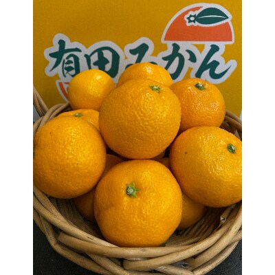 【和歌山県有田川町産】早生有田みかん　5kg(S～Lサイズ)