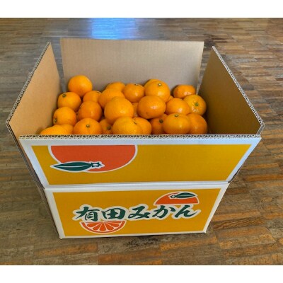 【和歌山県有田川町産】早生有田みかん　5kg(S～Lサイズ)