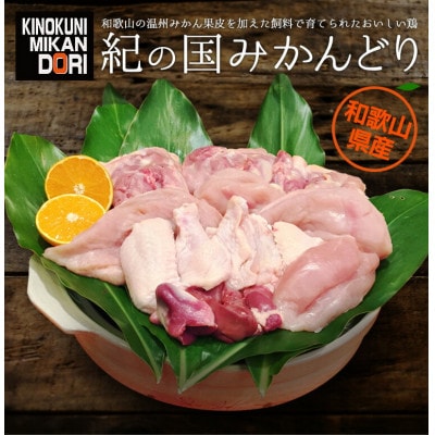 紀の国みかんどり　一匹セット