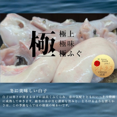 南あわじ産 三年とらふぐ × 糀料理の贅沢フルコースお食事券 2名様分 3000円券6枚