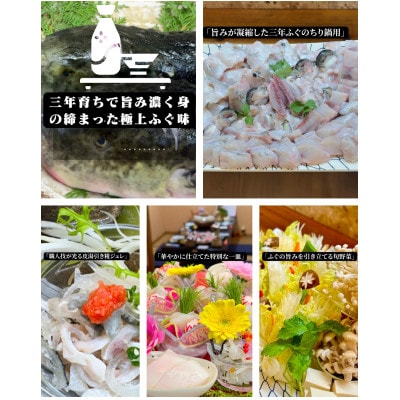 南あわじ産 三年とらふぐ × 糀料理の贅沢フルコースお食事券 2名様分 3000円券6枚