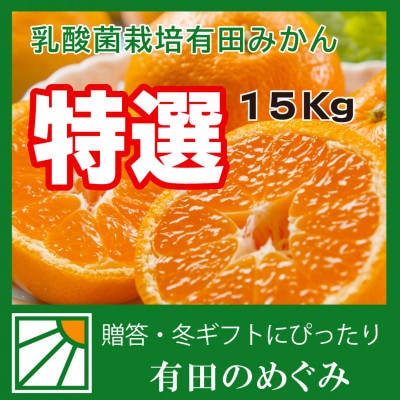 【贈答用】【ミカン選手権入賞】甘い 有田みかん【S】15kg　栽培期間中、低農薬