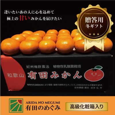 【贈答用】【ミカン選手権入賞】甘い 有田みかん【M】10kg　栽培期間中、低農薬