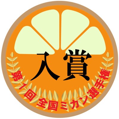 【贈答用】【ミカン選手権入賞】甘い 有田みかん【SS】10kg　栽培期間中、低農薬