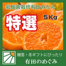 【贈答用】【ミカン選手権入賞】甘い 有田みかん【S】5kg 栽培期間中、低農薬