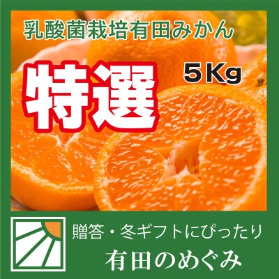【贈答用】【ミカン選手権入賞】甘い 有田みかん【SS】5kg　栽培期間中、低農薬