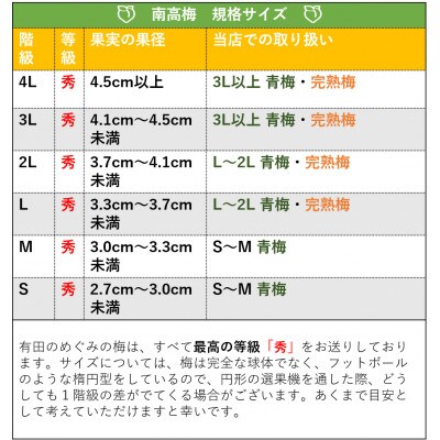 手もぎ完熟南高梅 秀品 5Kg 大つぶ3L以上