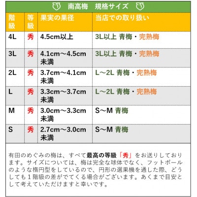 手もぎ青梅 南高梅 秀品 10Kg 大つぶ3L以上