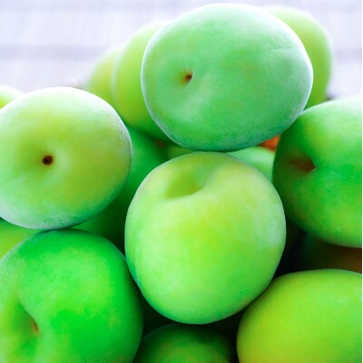 手もぎ青梅 南高梅 秀品 5Kg L～2L