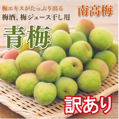 紀州・和歌山産 南高梅 完熟” 秀品 4L 約5kg【予約 6月以降