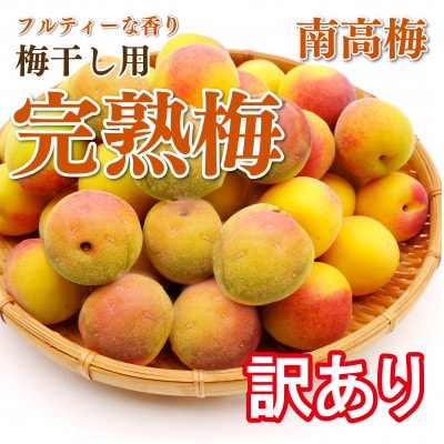 Amazon | 和歌山県産 南高梅(完熟梅）約5kg 大粒の3Lサイズ以上