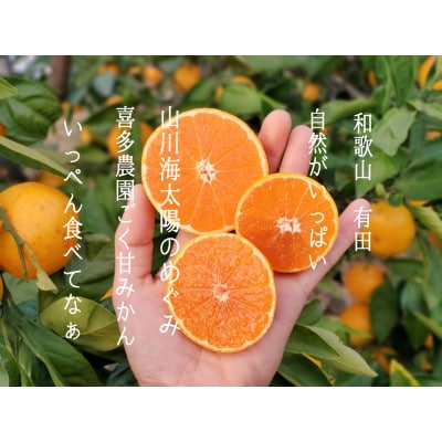 喜多農園のごく甘有田みかん　5キロ