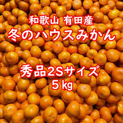 【数量限定】【越冬完熟早生・秀品・サイズ2S】和歌山有田産!冬のハウスみかん≪5kg≫