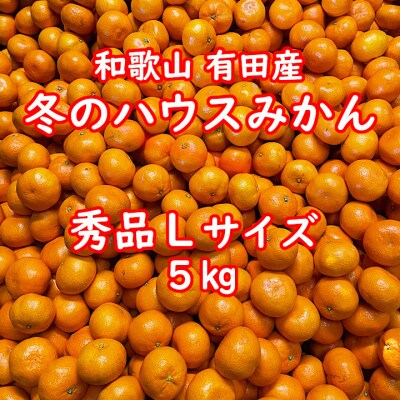 【数量限定】【越冬完熟早生・秀品・サイズL】和歌山有田産!冬のハウスみかん≪5kg≫