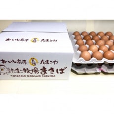 おいし高原　庭さき卵Mサイズ50個入り | ふるさと納税のお礼品