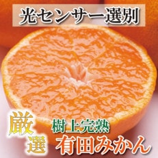 ＜先行受付＞厳選 完熟有田みかん6.5kg+195g(傷み補償分)【光センサー選果】