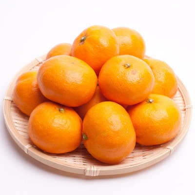 ＜先行受付＞樹上完熟有田みかん8.5kg+255g(傷み補償分)【光センサー選果】