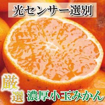 ＜先行受付＞厳選　小玉な有田みかん7kg+210g(傷み補償分)【光センサー選果】