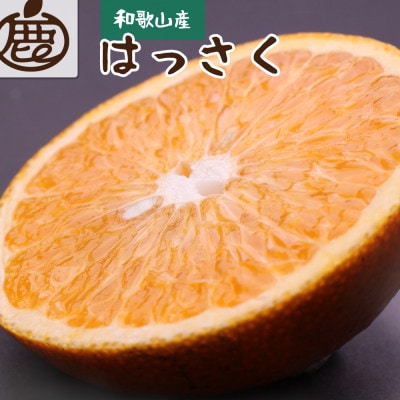 厳選 はっさく10kg+250g(傷み補償分)【八朔みかん】【光センサー選別】