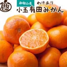 ＜先行受付＞家庭用 小玉な有田みかん8.5kg+255g(傷み補償分)【訳あり】