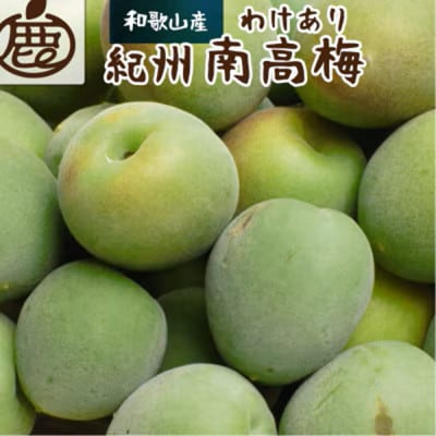 家庭用 紀州南高梅(青梅)2kg+250g(傷み補償分)【梅干し・梅酒・梅ジュース】【訳あり】
