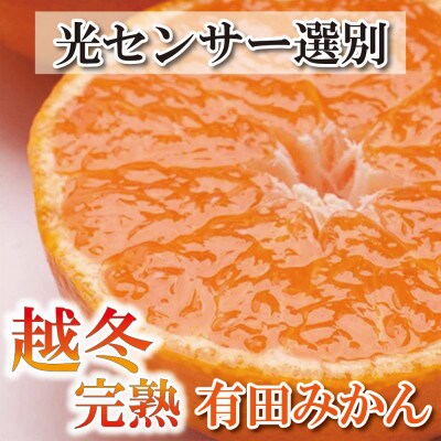 ＜2025年1月より発送＞家庭用　越冬完熟みかん2.5kg+75g(傷み補償分)【光センサー選果】