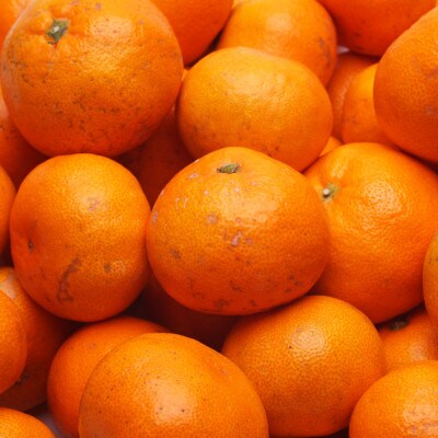 ＜2025年1月より発送＞家庭用　越冬完熟みかん2.5kg+75g(傷み補償分)【光センサー選果】
