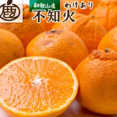 &lt;先行受付&gt;家庭用 不知火5kg+150g(傷み補償分)【訳あり】&lt;2月より発送&gt;