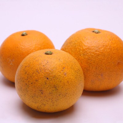 家庭用 樹上完熟はっさく10kg+250g(傷み補償分)【有田の春みかん・五月八朔】【訳あり】