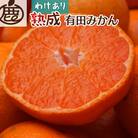 家庭用 熟成有田みかん10kg+250g(傷み補償分)【光センサー選果】【訳あり】