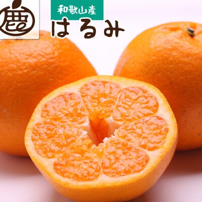 厳選 はるみ5kg+250g(傷み補償分)【不知火の姉妹品種・新食感春みかん】【光センサー選別】