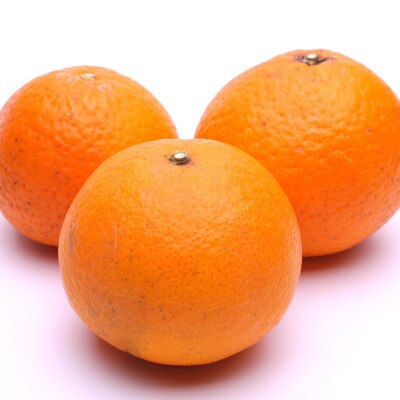 厳選 清見オレンジ5kg+250g(傷み補償分)【光センサー食頃出荷】【樹上完熟】