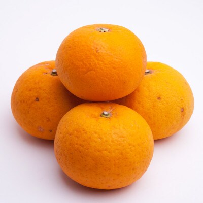 厳選 甘夏柑5kg+250g(傷み補償分)【初夏のみかん・旬の果物】【有田産】【光センサー選果】