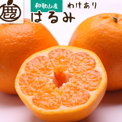 家庭用 はるみ2.5kg+250g(傷み補償分)【不知火の姉妹品種】【光センサー選別】【訳あり】