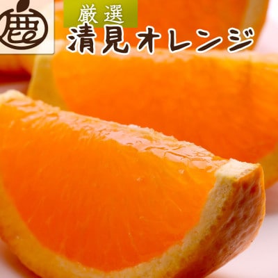 厳選 清見オレンジ2.5kg+250g(傷み補償分)【光センサー食頃出荷】