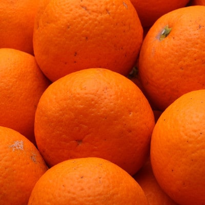 家庭用 清見オレンジ5kg+250g(傷み補償分)【光センサー食頃出荷】【訳あり】